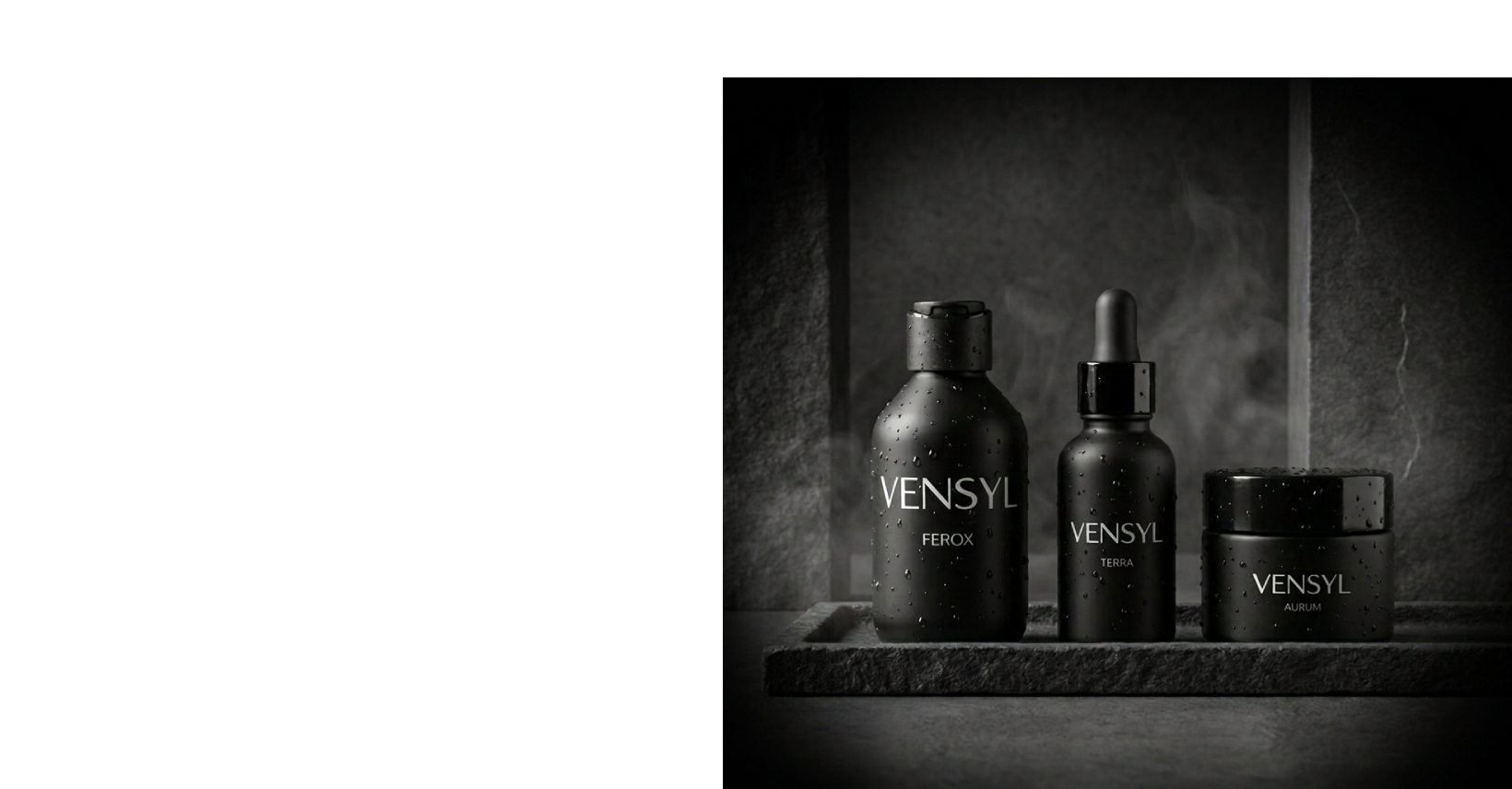 Vensyl Max Pack rutin